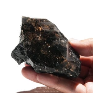 Hand holding a large black smoky quartz crystal with rough facets against a white background.