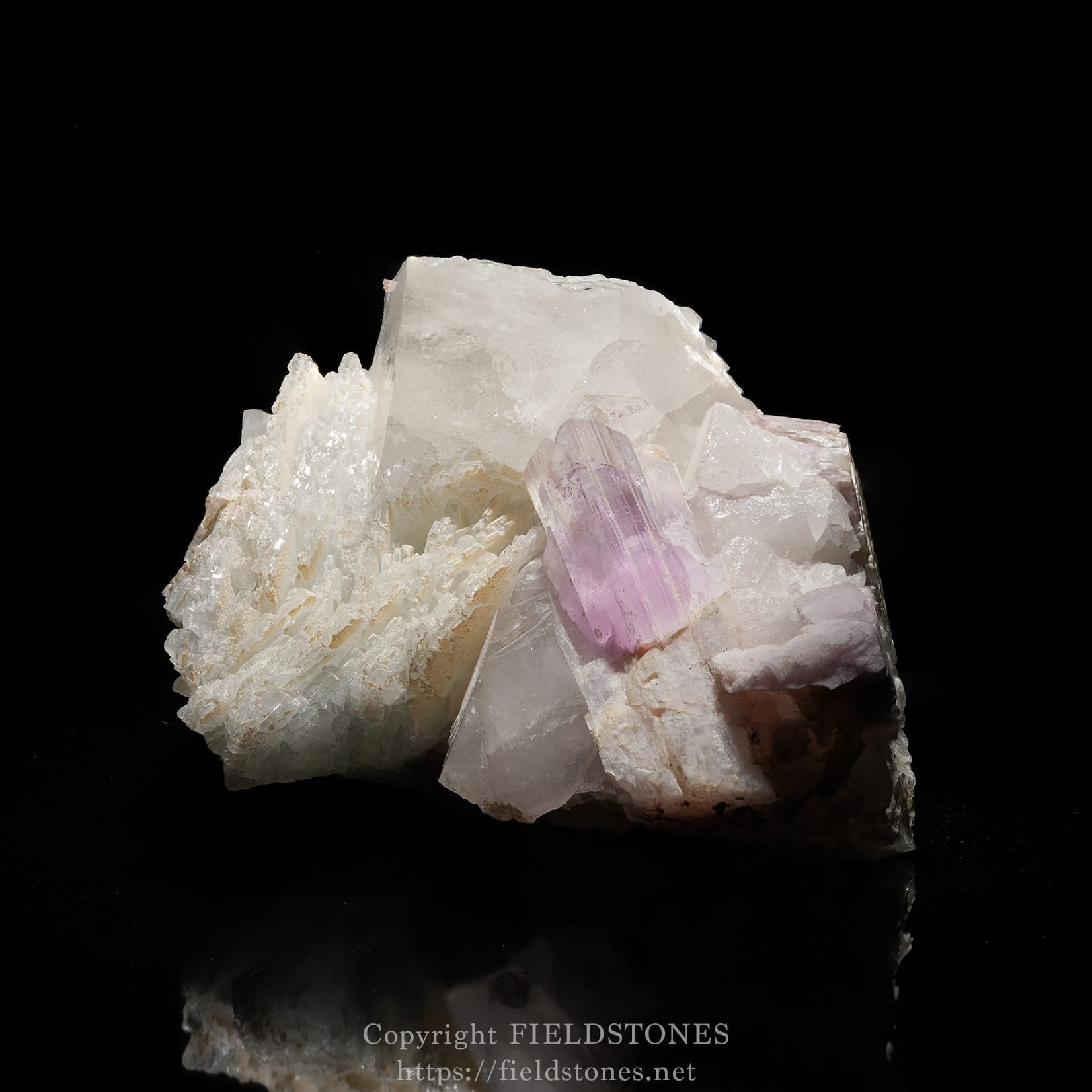 6725-1 - FieldStones Cluster of clear quartz with purple amethyst crystals on a black background, glossy mineral surface visible at the base.