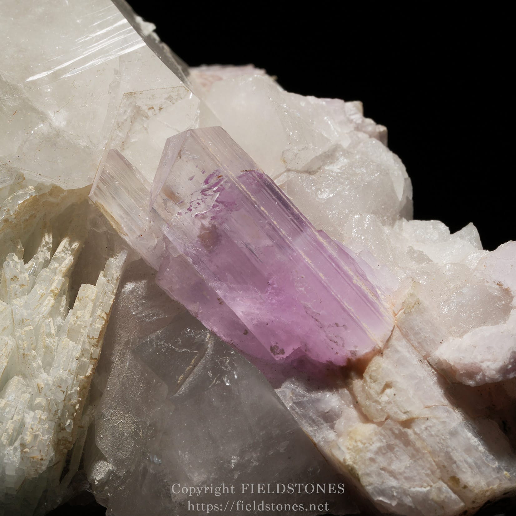 6725-11 - FieldStones Pink-purple amethyst crystal growing in white quartz matrix against a dark background, close-up detail of translucent facets