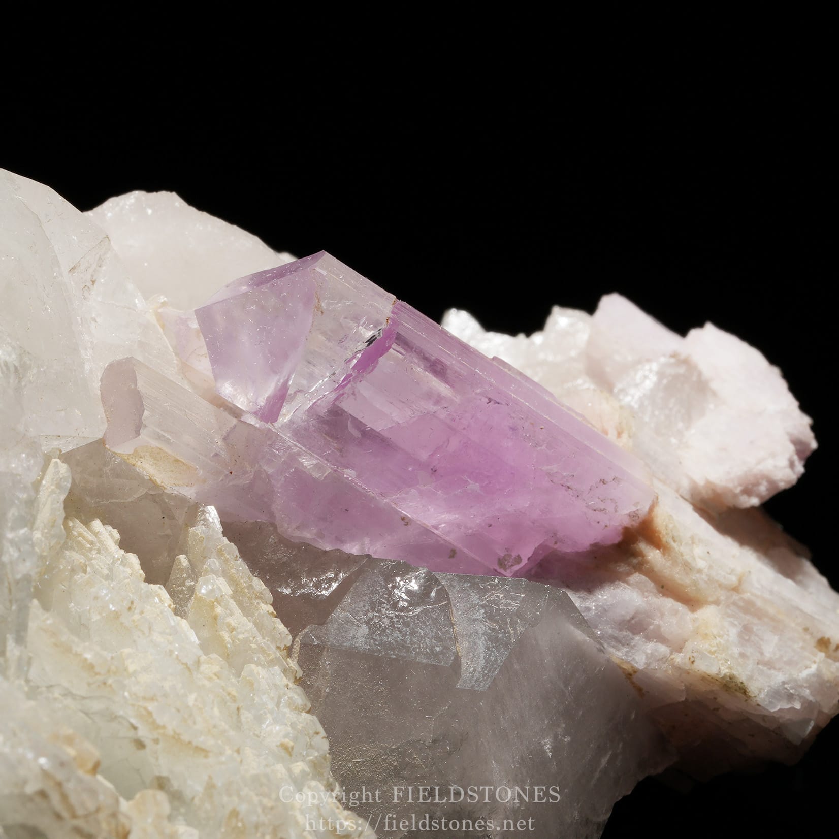 6725-12 - FieldStones Amethyst crystal cluster with pale white quartz on a black background, pink-purple prism facets catching light (mineral specimen)