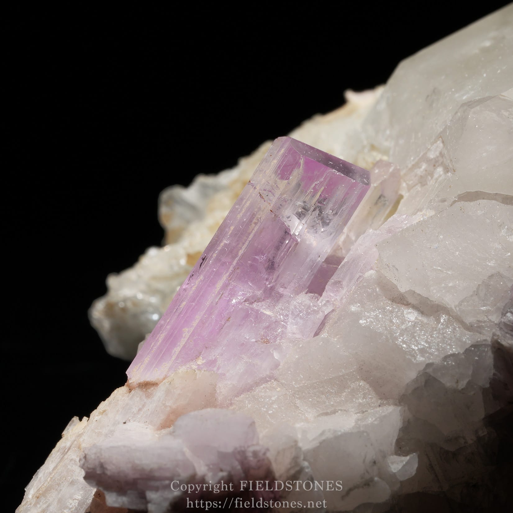 6725-13 - FieldStones Lavender purple amethyst crystal embedded in a pale rock matrix, shown in a close-up view on a black background.