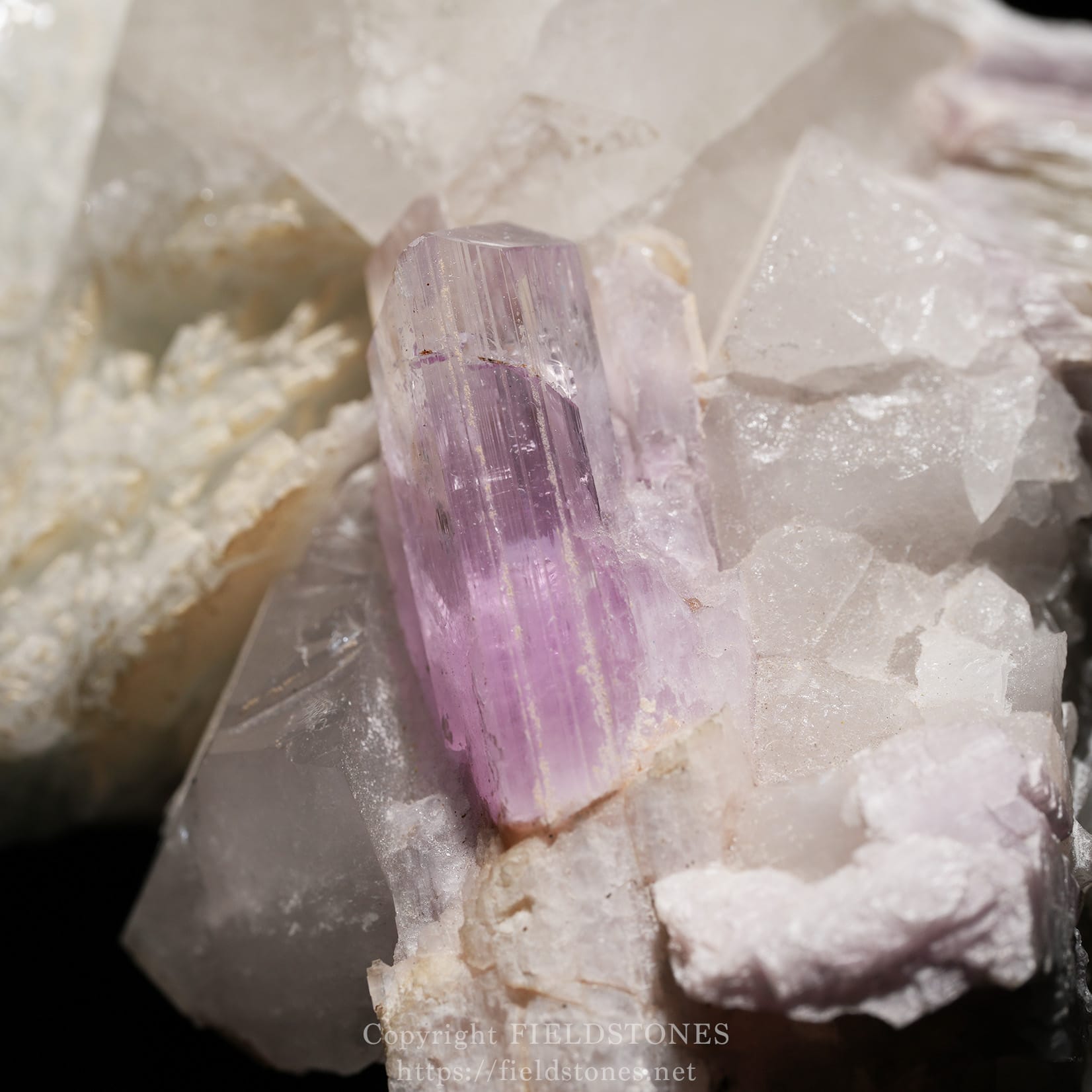 6725-14 - FieldStones Purple amethyst crystal protruding from pale quartz rock in a mineral specimen
