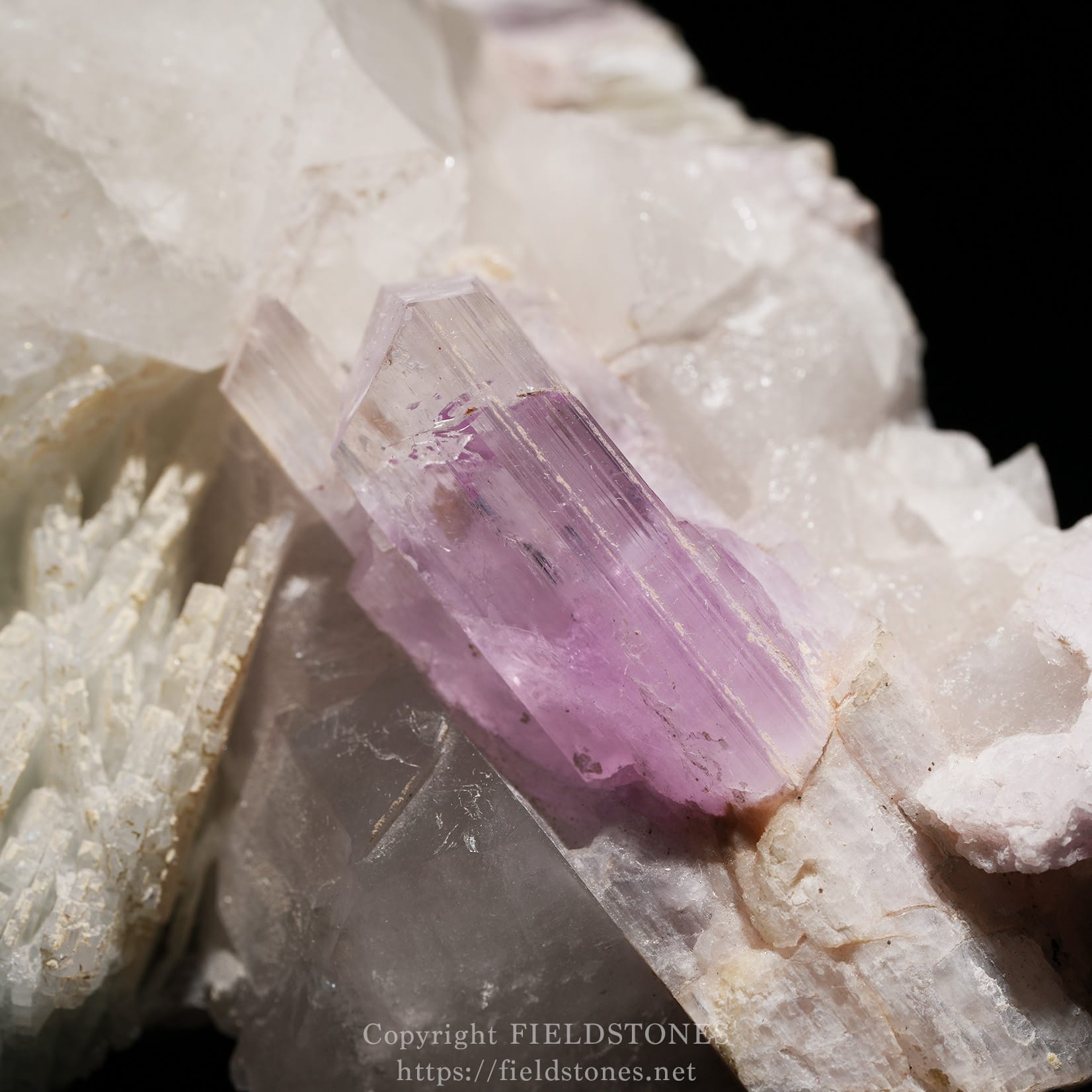 6725-15 - FieldStones Close-up of a lavender amethyst crystal with purple prismatic facets embedded in white mineral matrix