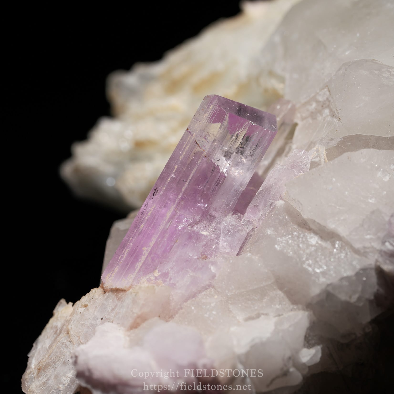 6725-16 - FieldStones Macro shot of a purple amethyst crystal embedded in white quartz matrix; elongated hexagonal crystals with facets catching light on a dark background.
