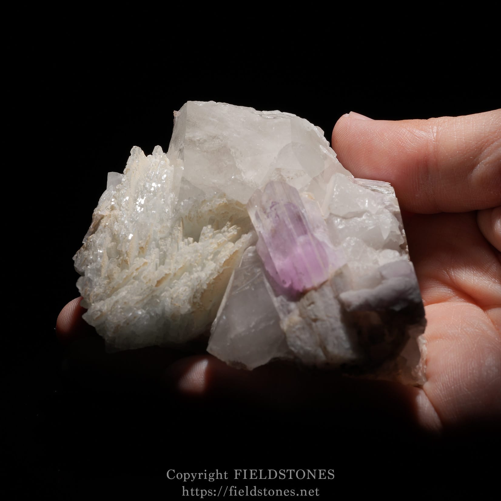 6725-17 - FieldStones Hand holding a cluster of clear quartz with a purple amethyst point against a black background.