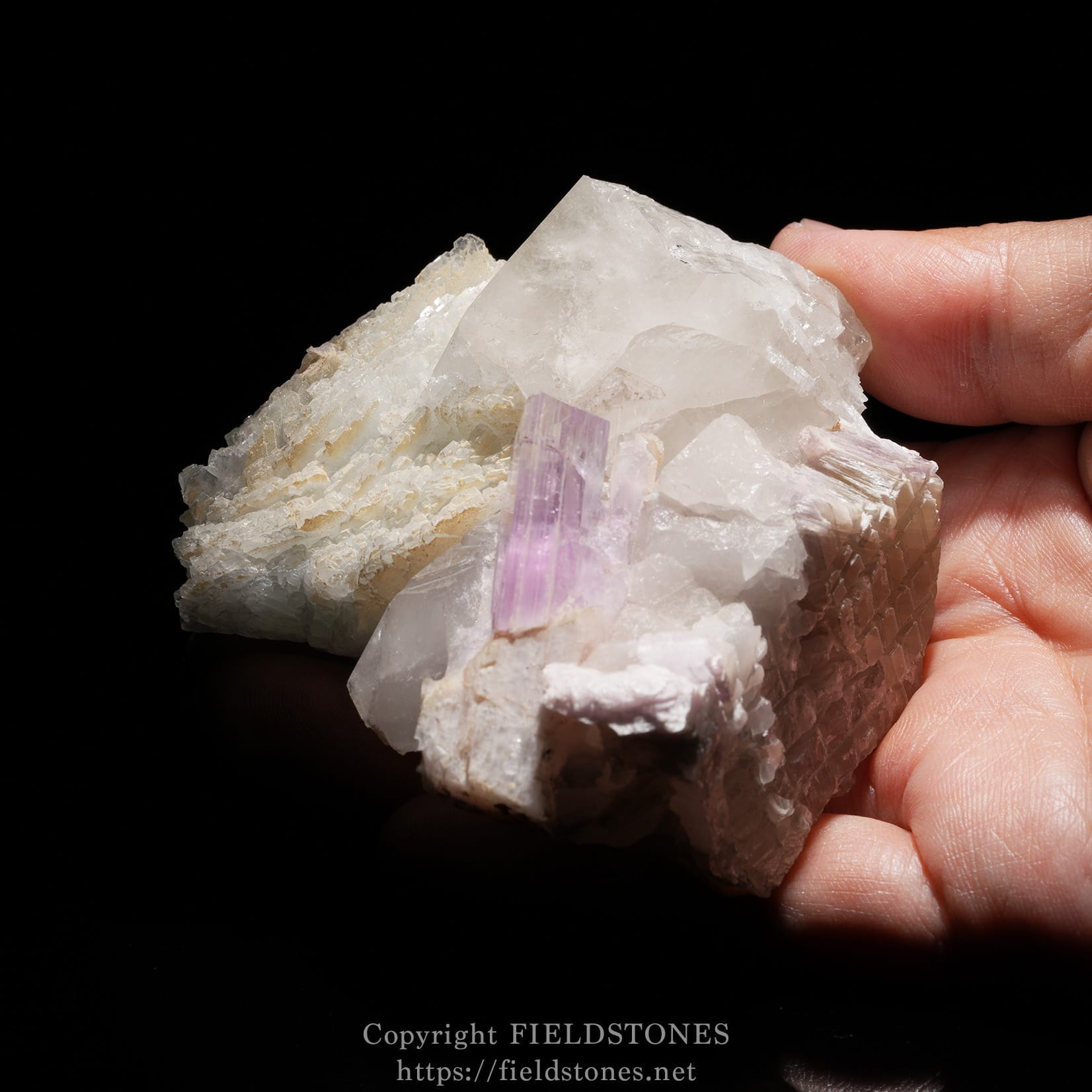 6725-18 - FieldStones Hand holding a rough quartz crystal cluster with pale purple amethyst within, against a black background.