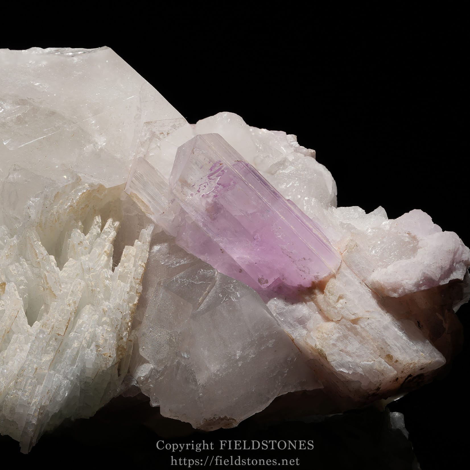 6725-2 - FieldStones Purple amethyst crystal embedded in white quartz cluster against a black background.