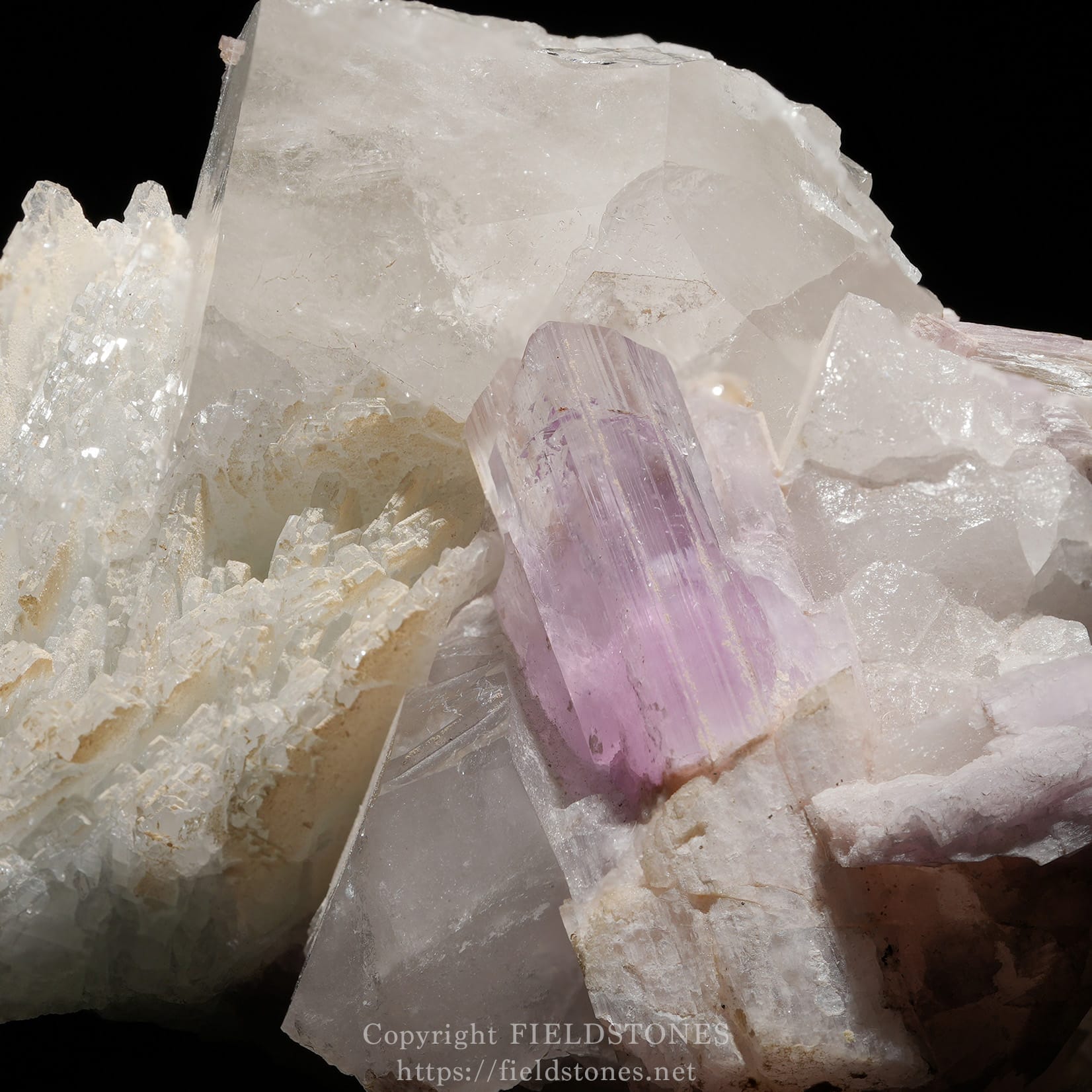 6725-3 - FieldStones Cluster of clear quartz crystals with a purple amethyst point nestled among them, close-up macro shot.