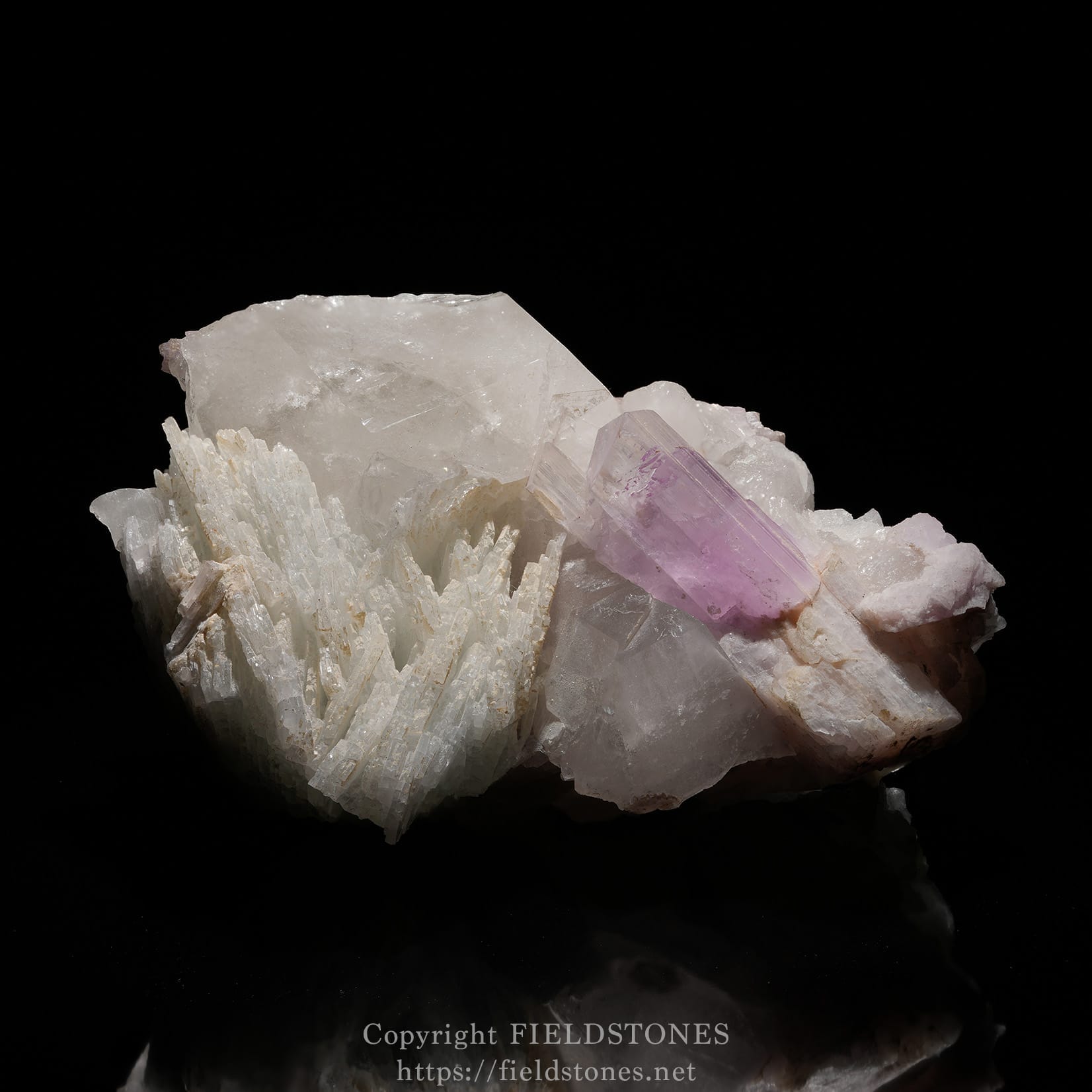 6725-9 - FieldStones Pink tourmaline crystal embedded in white quartz crystals on a black background, mineral specimen display