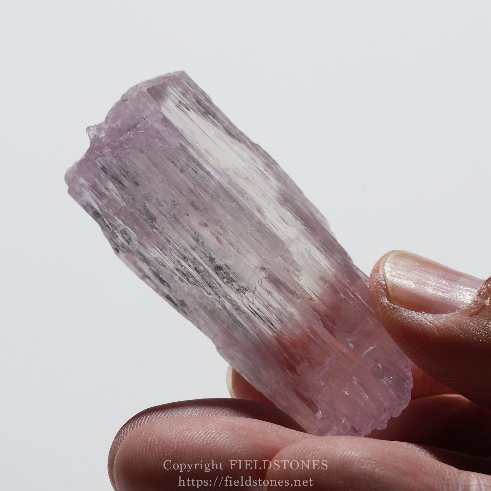 6726-10 - FieldStones Close-up of a pink rose quartz crystal being held between two fingertips against a light background.