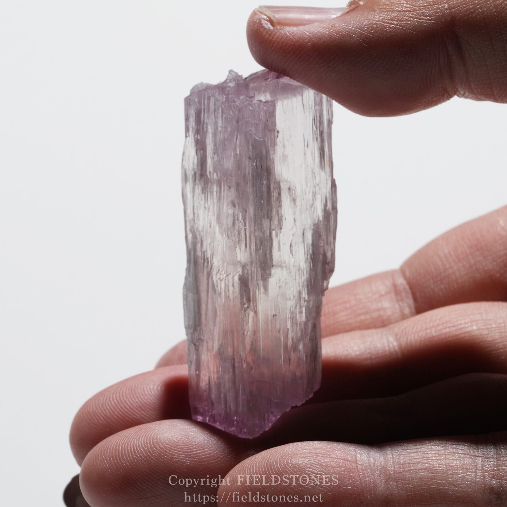 6726-11 - FieldStones Close-up of a pinkish-purple crystal held between fingertips against a white background.
