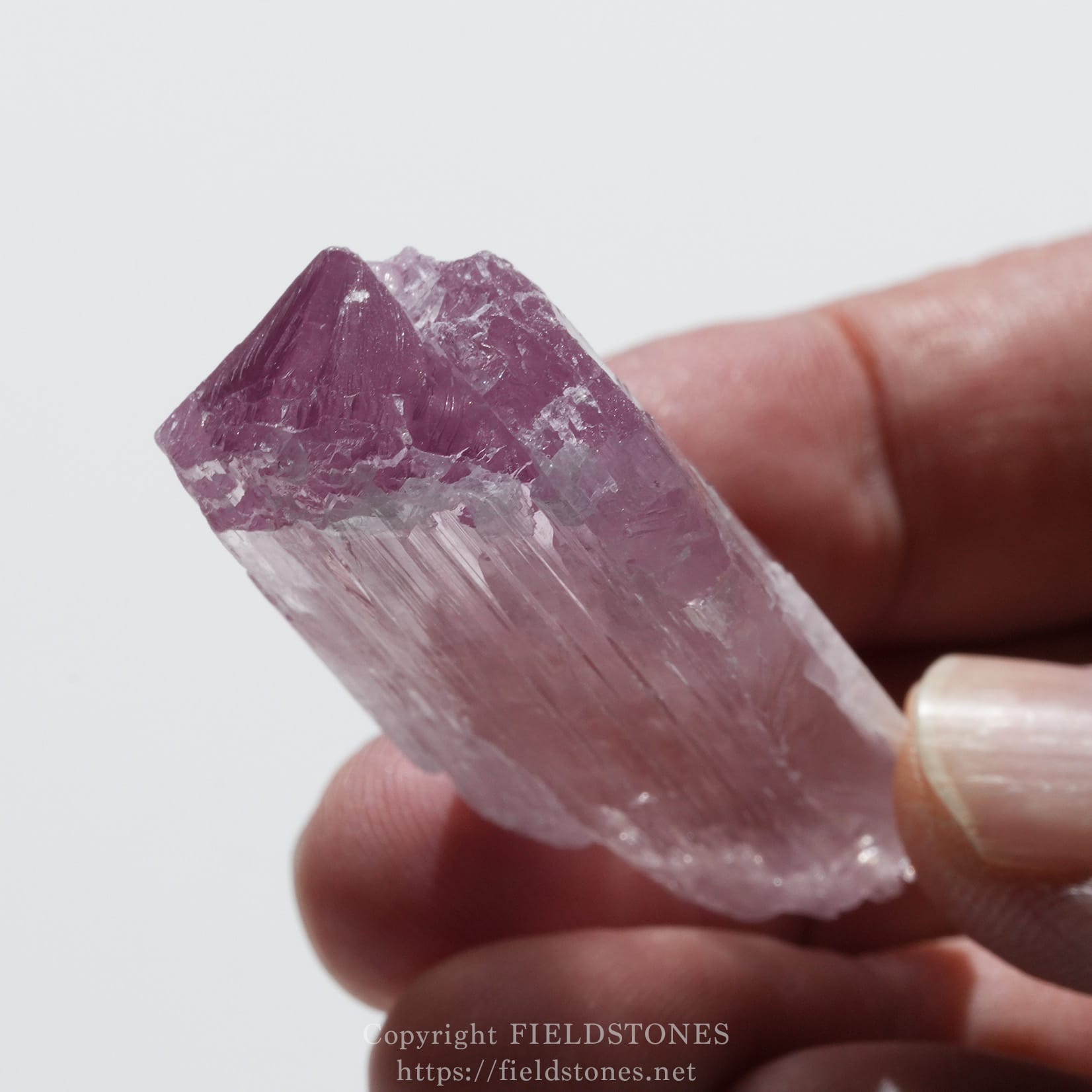 6726-7 - FieldStones Close-up of a pink rose quartz crystal being pinched between a thumb and finger.