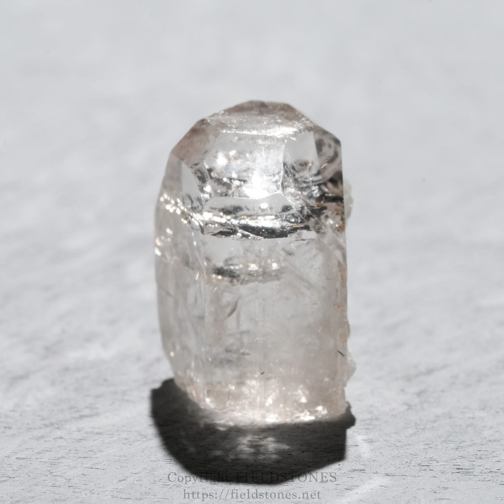 6737-2 - FieldStones Clear quartz crystal standing upright on a light grey surface with a soft shadow below.