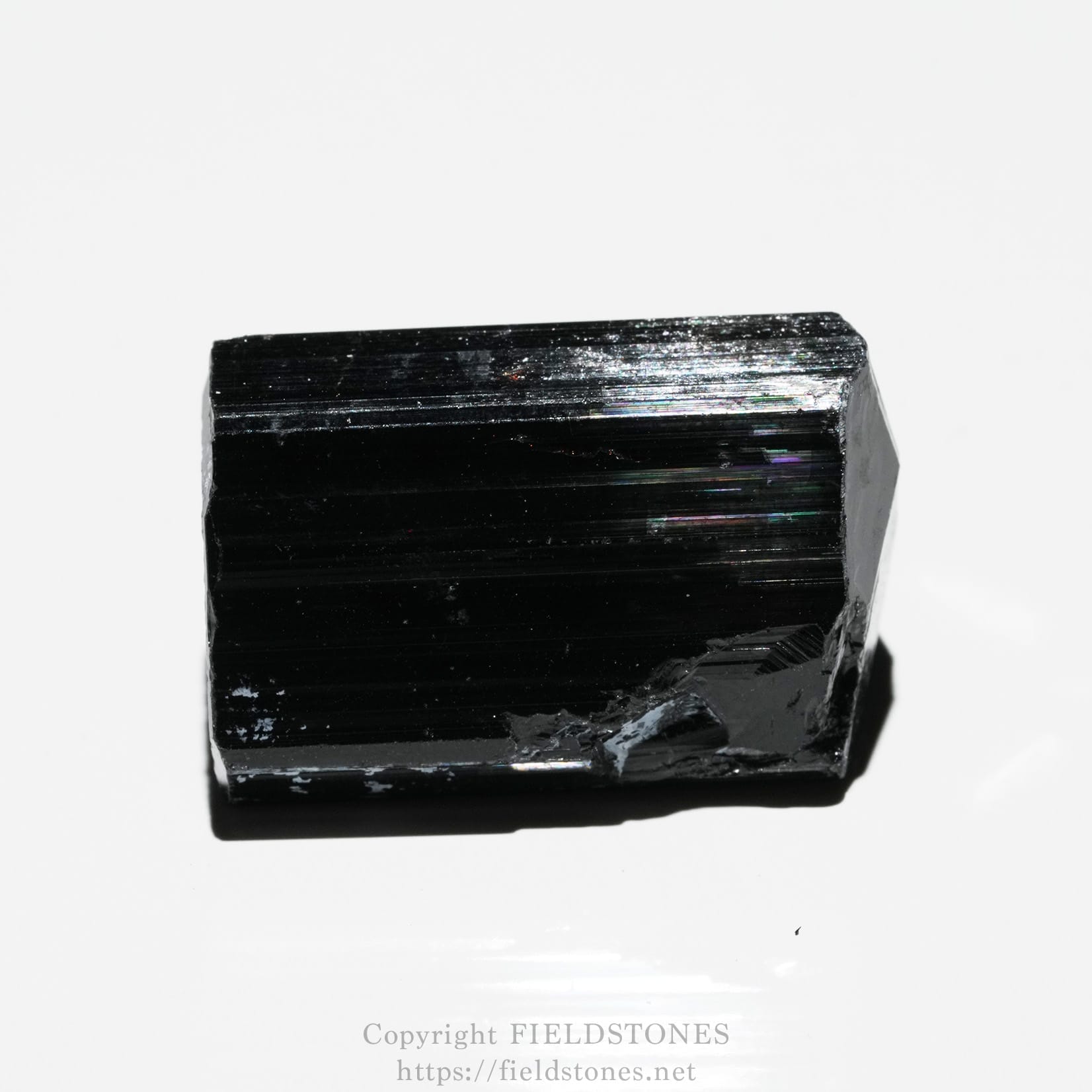 6748-1 - FieldStones Close-up of a large black, glossy prismatic crystal against a white background with reflective facets.