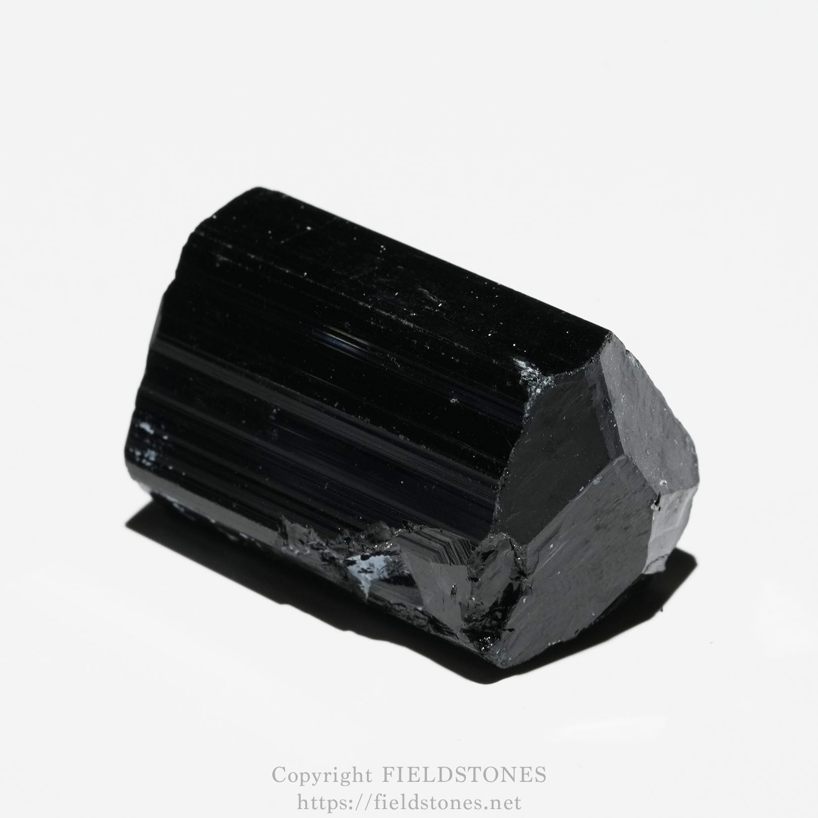 6748-2 - FieldStones Close-up of a glossy black tourmaline crystal on a white background, showing its striated surfaces and prismatic edges.