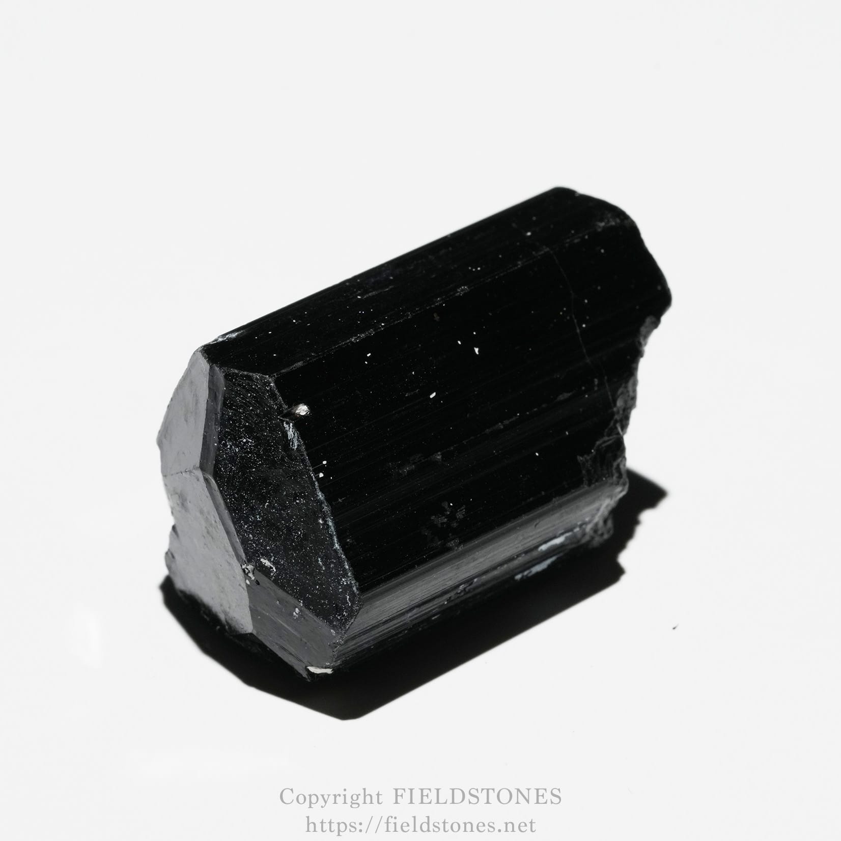 6748-3 - FieldStones Macro close-up of a glossy black mineral crystal fragment on a white background, showing sharp edges and facets.