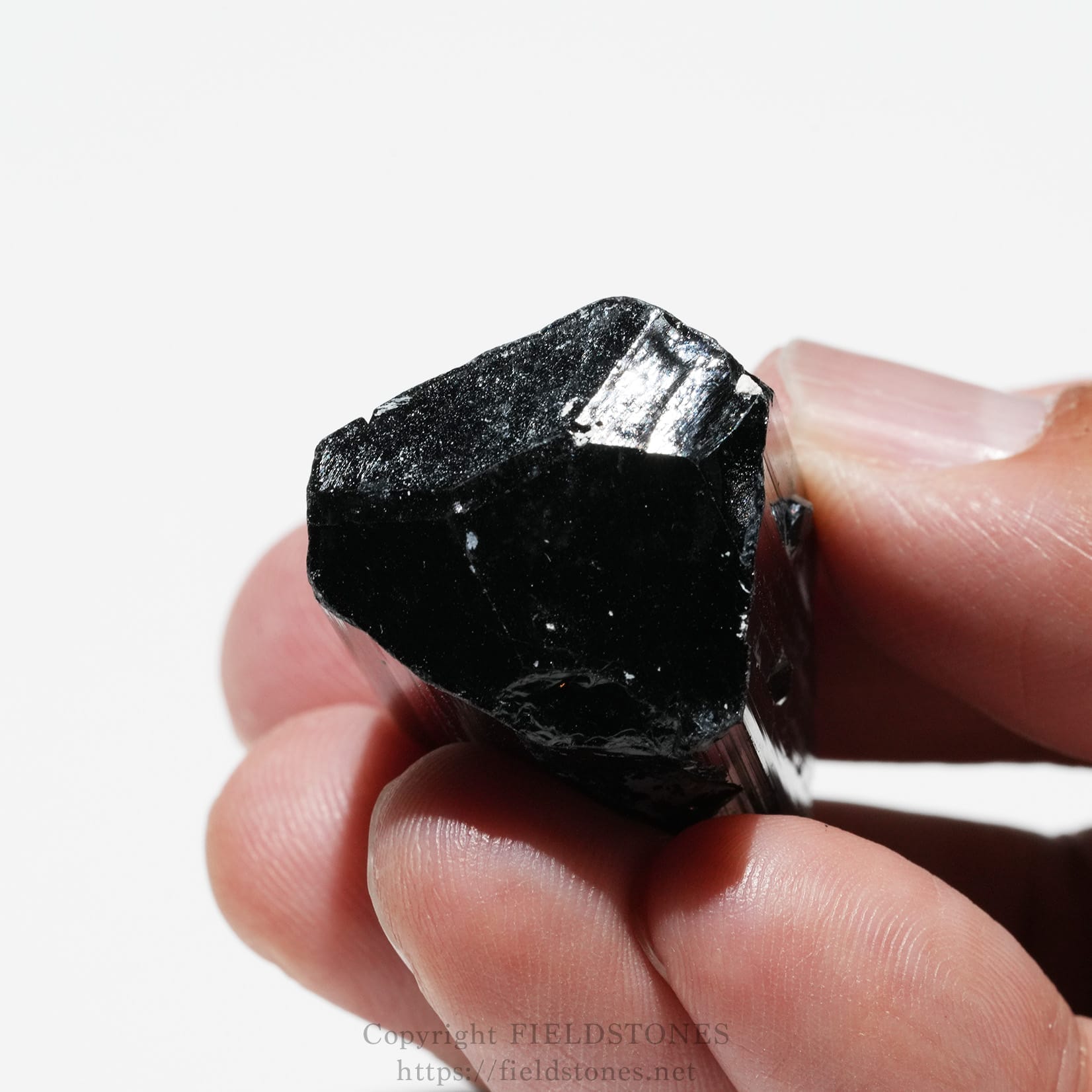 6748-9 - FieldStones Close-up of a black glossy crystal being held between two fingertips, showing serrated facets and tiny white specks.