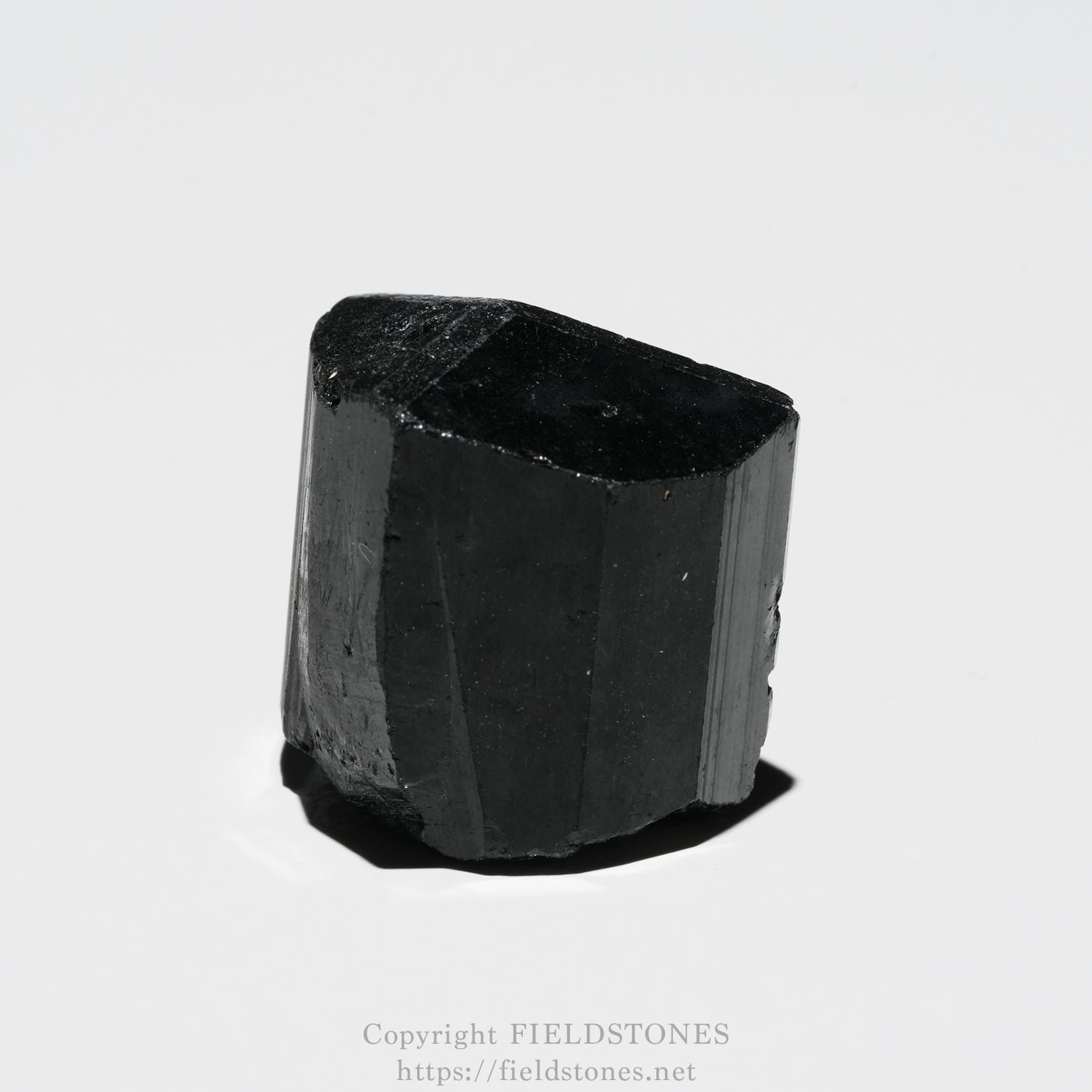 6750-1 - FieldStones Close-up of a dark black crystal with a glossy surface on a white background.