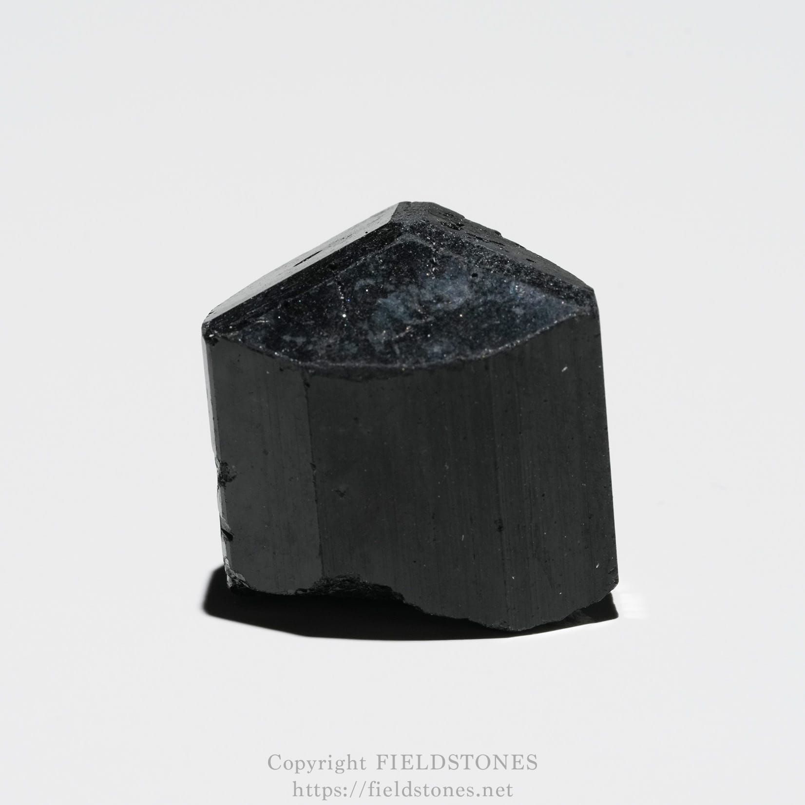 6750-3 - FieldStones Black faceted mineral specimen standing upright on a white background, with a subtle watermark visible at the bottom.