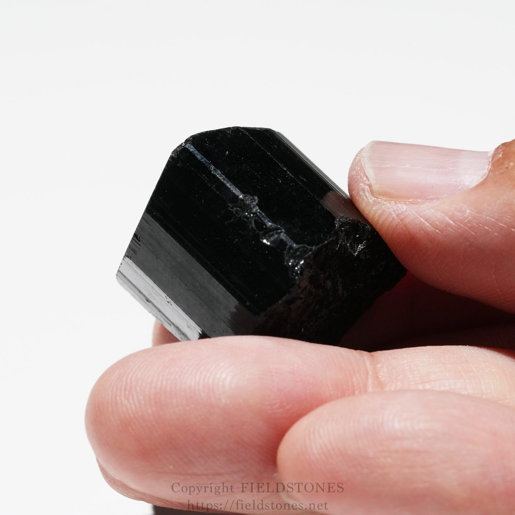 6750-8 - FieldStones Close-up of a black mineral crystal being gripped between a thumb and forefinger on a white background.